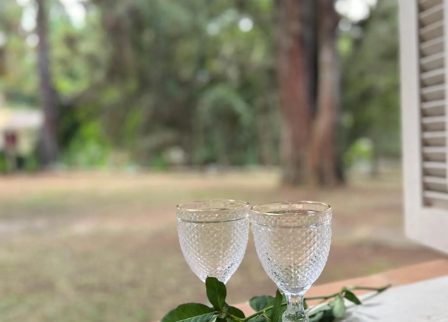 Luxury tent Pousada Sonho Meu Campos do Jordao Brazil