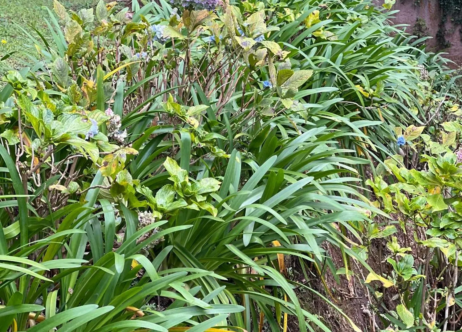 Pousada Sonho Meu Campos do Jordao