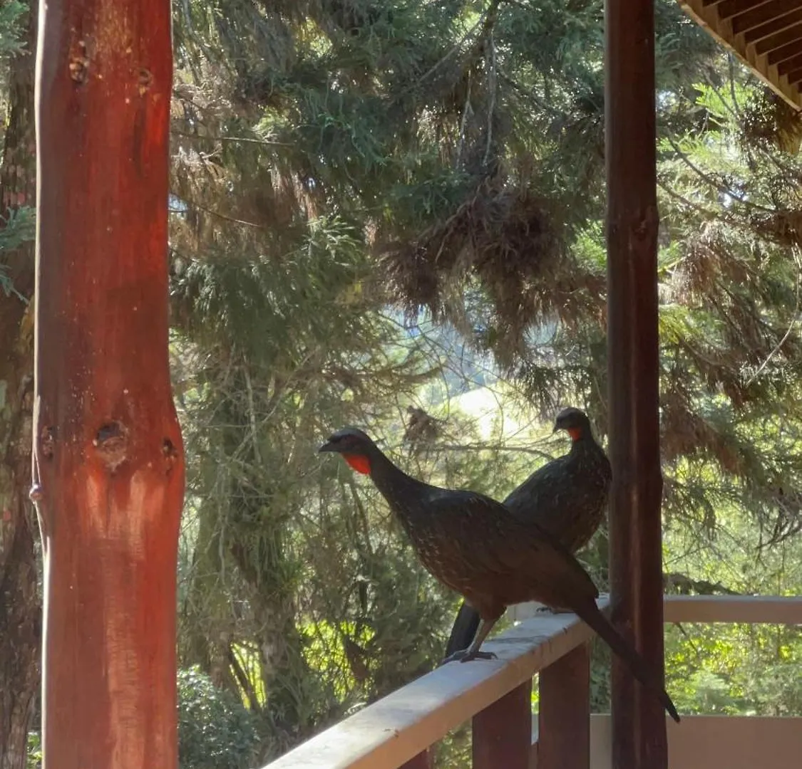 Pousada Sonho Meu Campos do Jordao Lüks kamp alanı