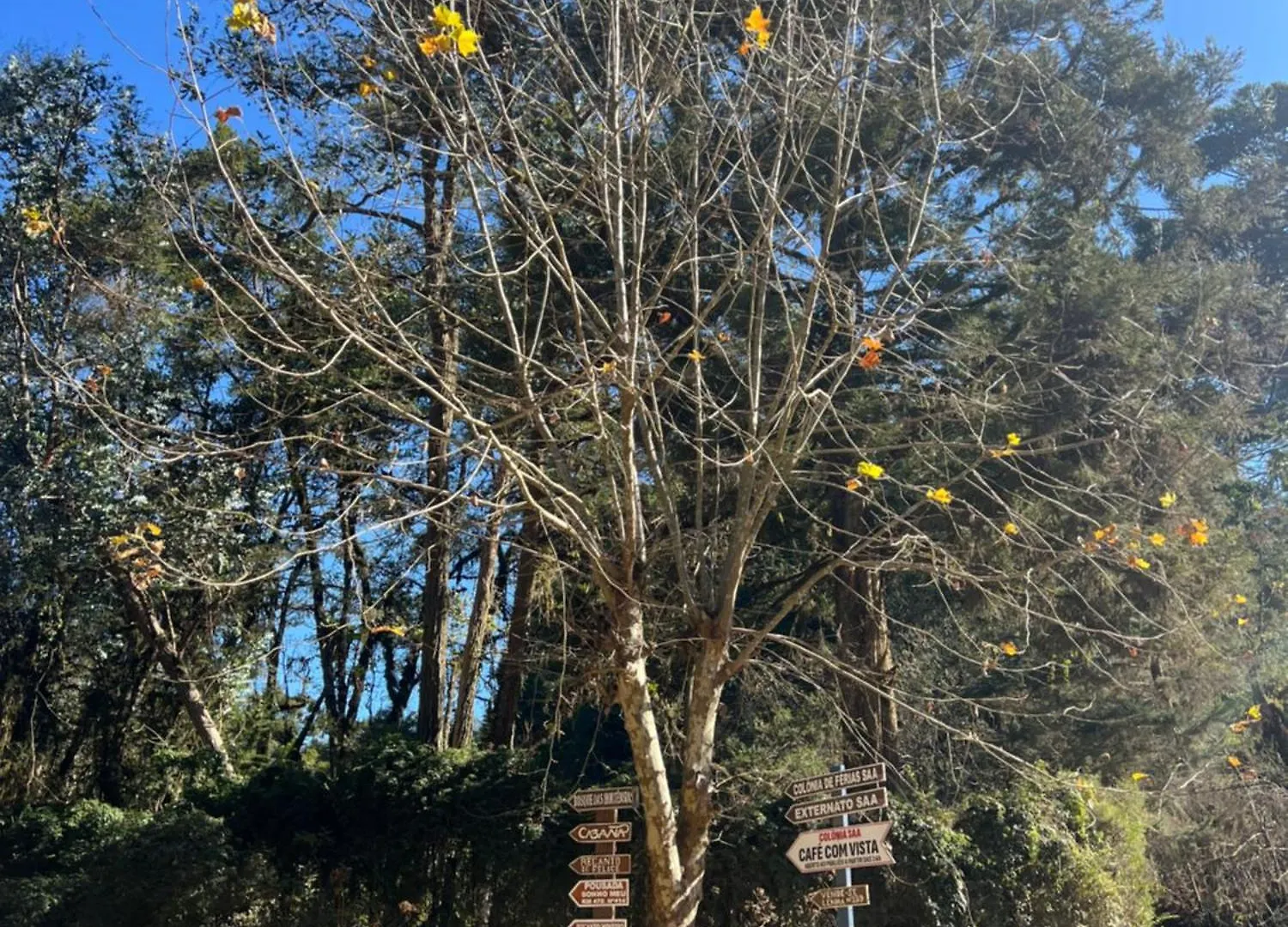 Pousada Sonho Meu Campos do Jordao 0*,  Brezilya