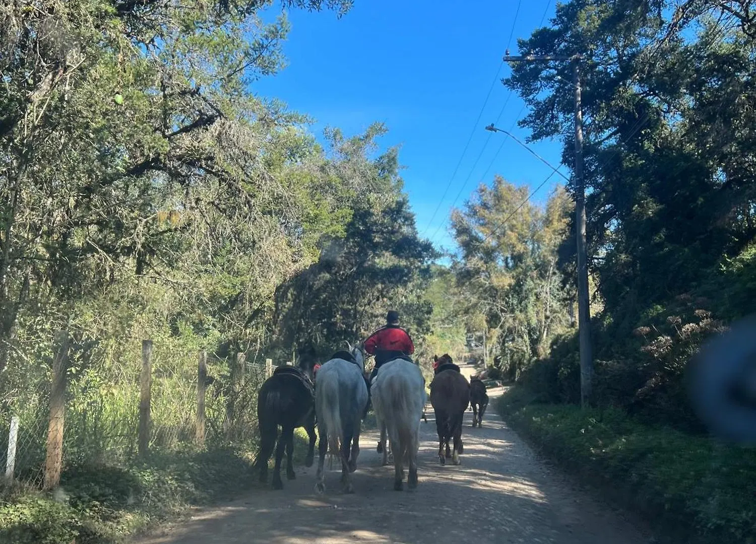 Pousada Sonho Meu Campos do Jordao Lüks kamp alanı