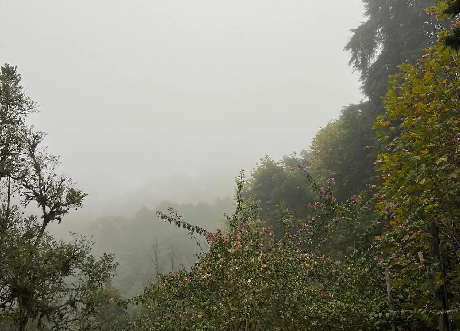 Pousada Sonho Meu Campos do Jordão Luksustelt