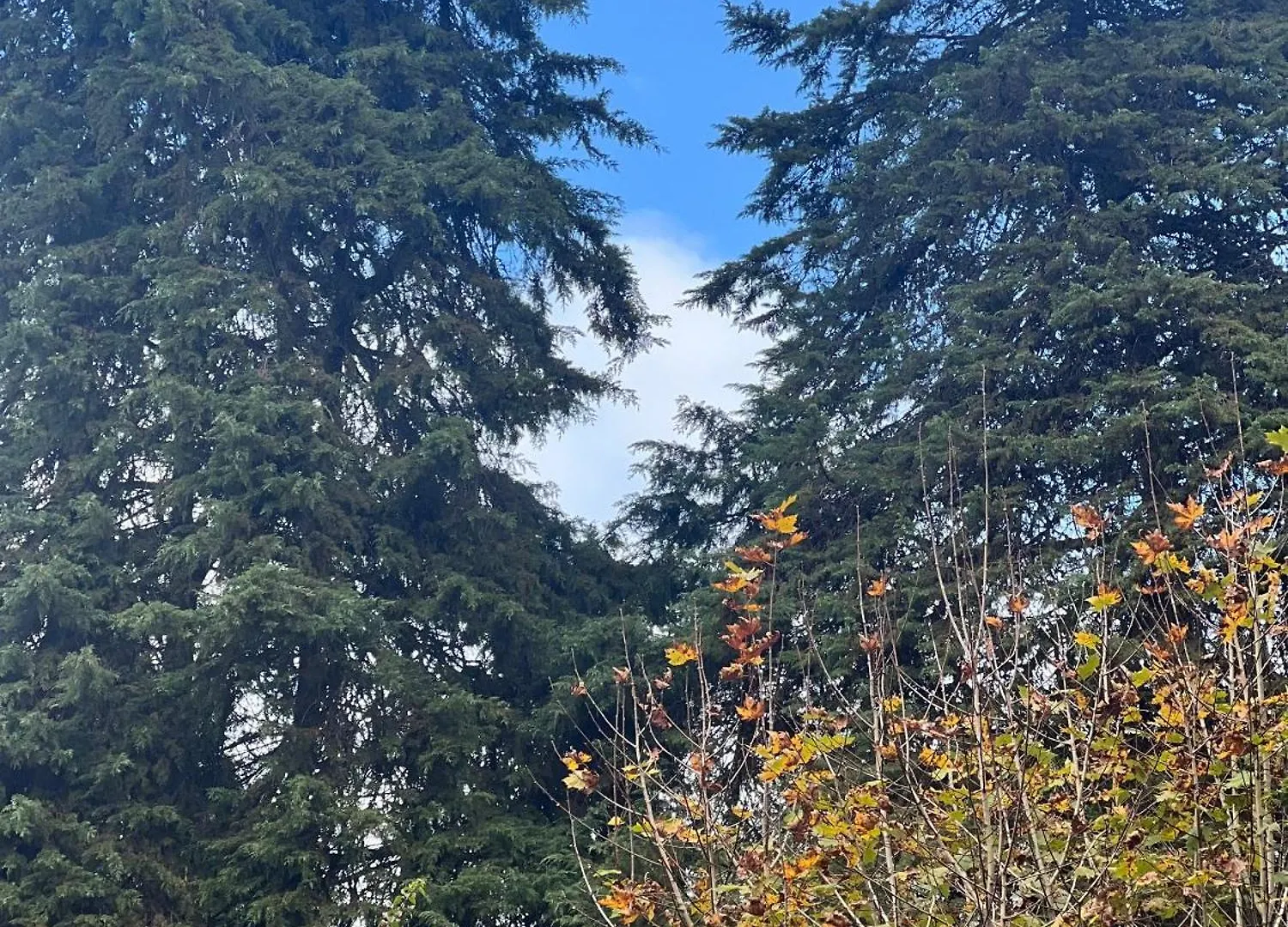 Pousada Sonho Meu Campos do Jordão Luksustelt