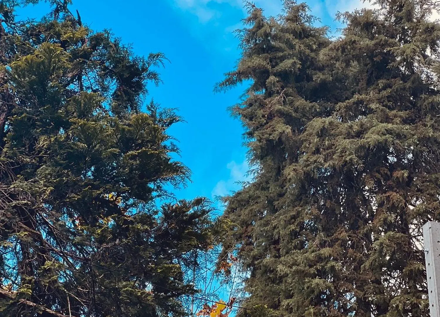 Luksustelt Pousada Sonho Meu Campos do Jordão