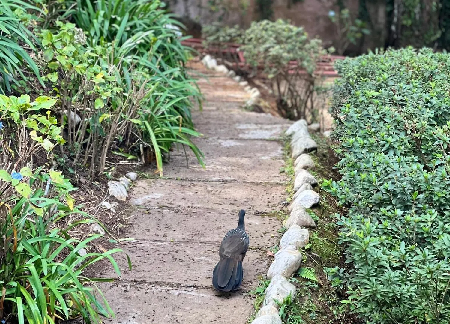 Luksustelt Pousada Sonho Meu Campos do Jordão